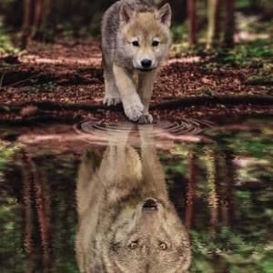 Meet your Posher, Suzanne